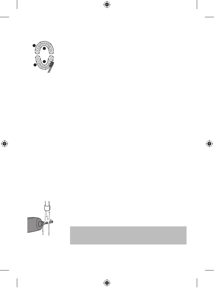 Page #12 background image