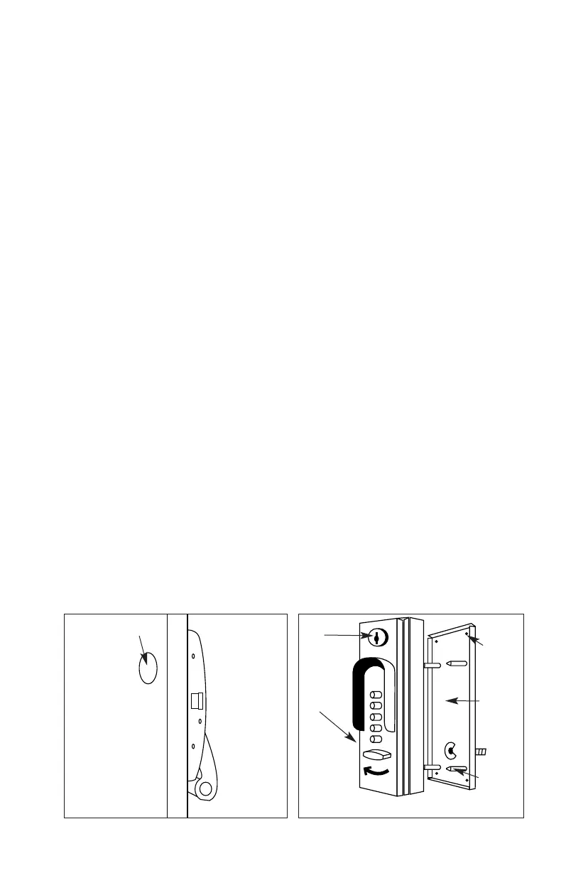Page #3 background image