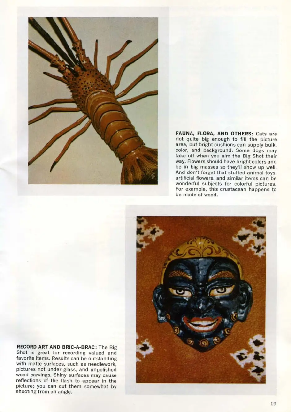 Page #19 background image