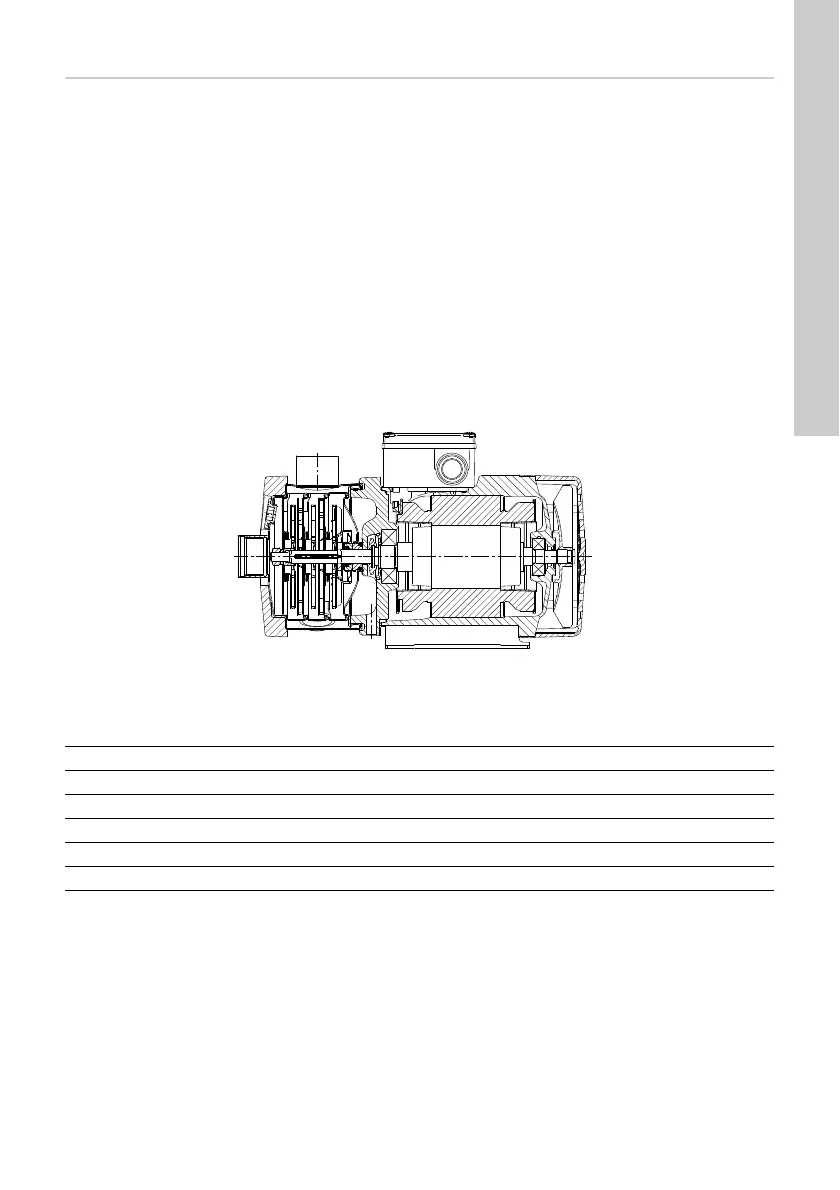 Page #19 background image