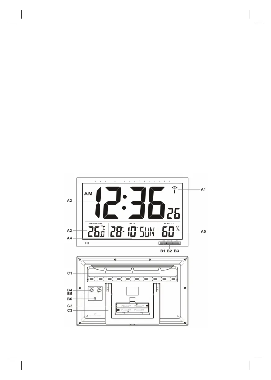 Page #17 background image