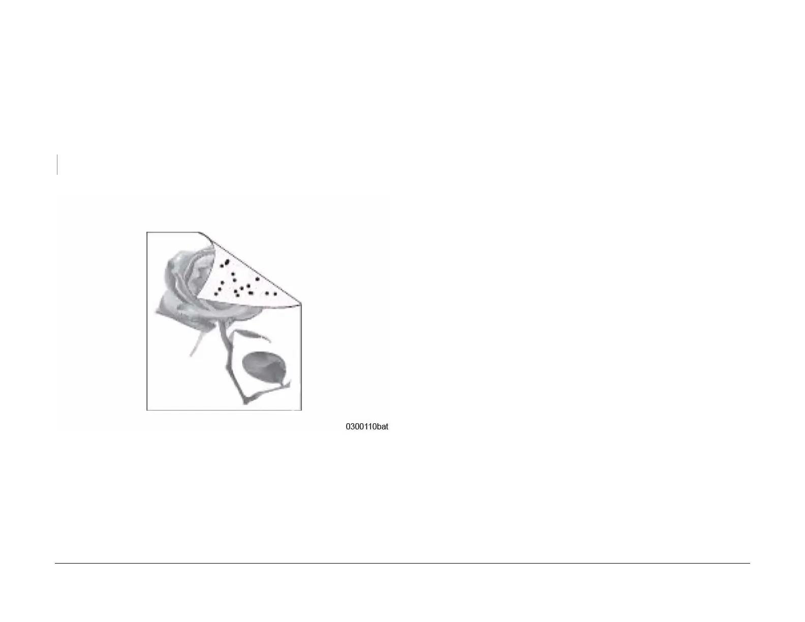 Page #62 background image