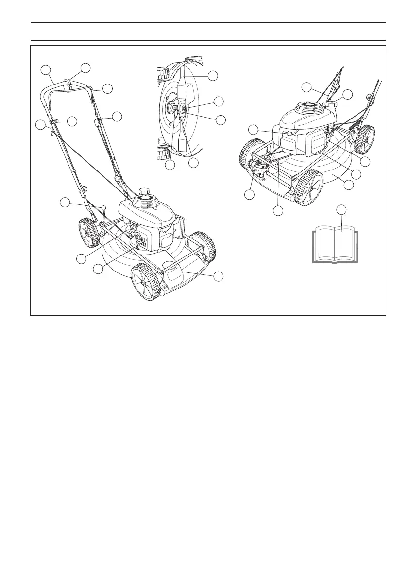 Page #65 background image