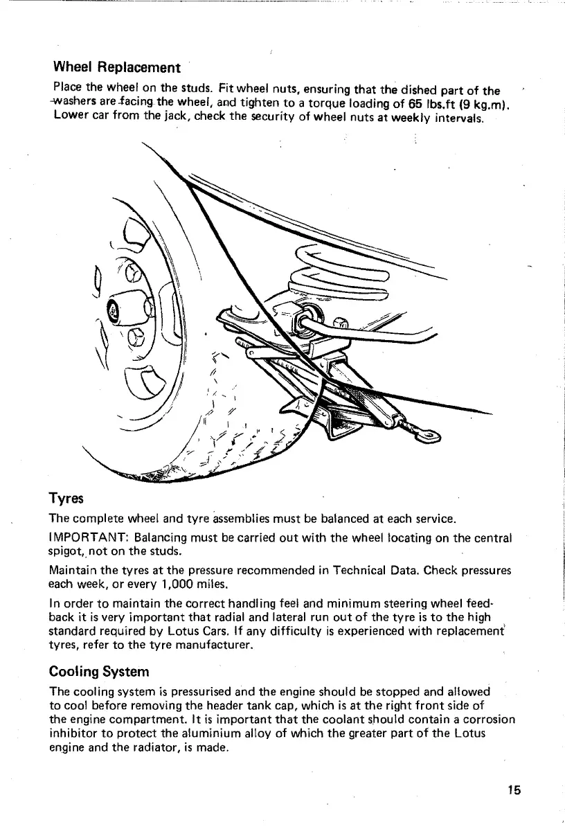 Page #15 background image