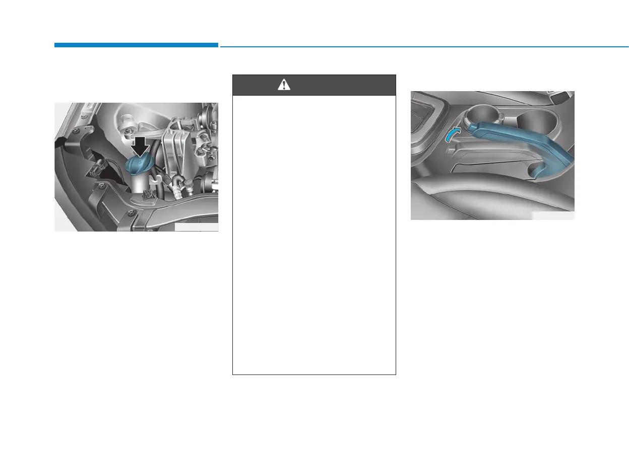 Page #494 background image