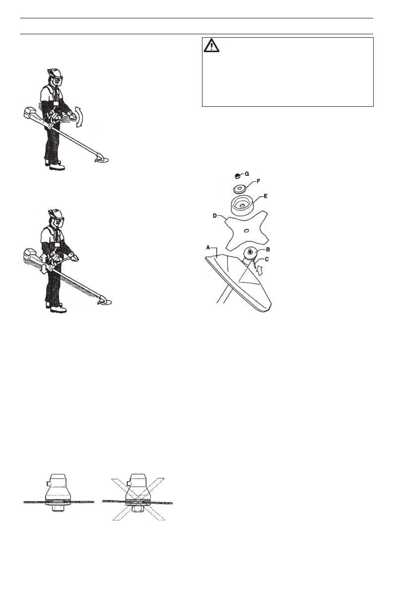 Page #219 background image