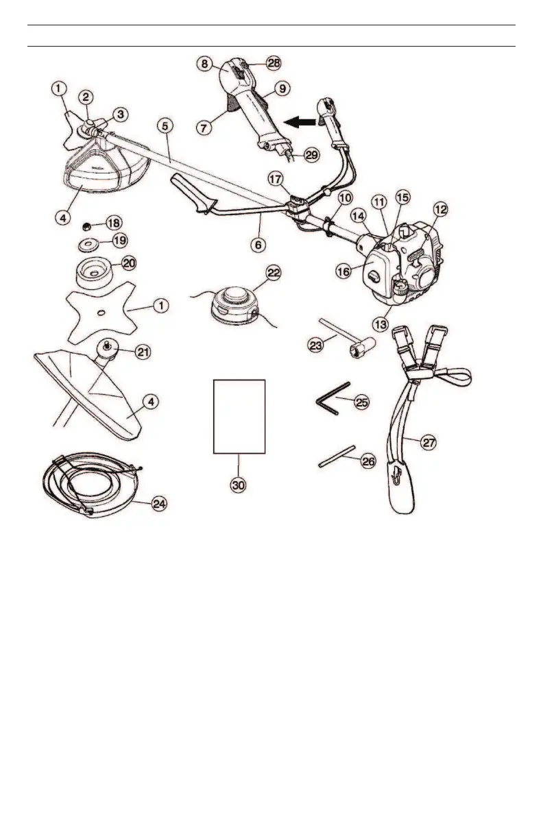 Page #4 background image