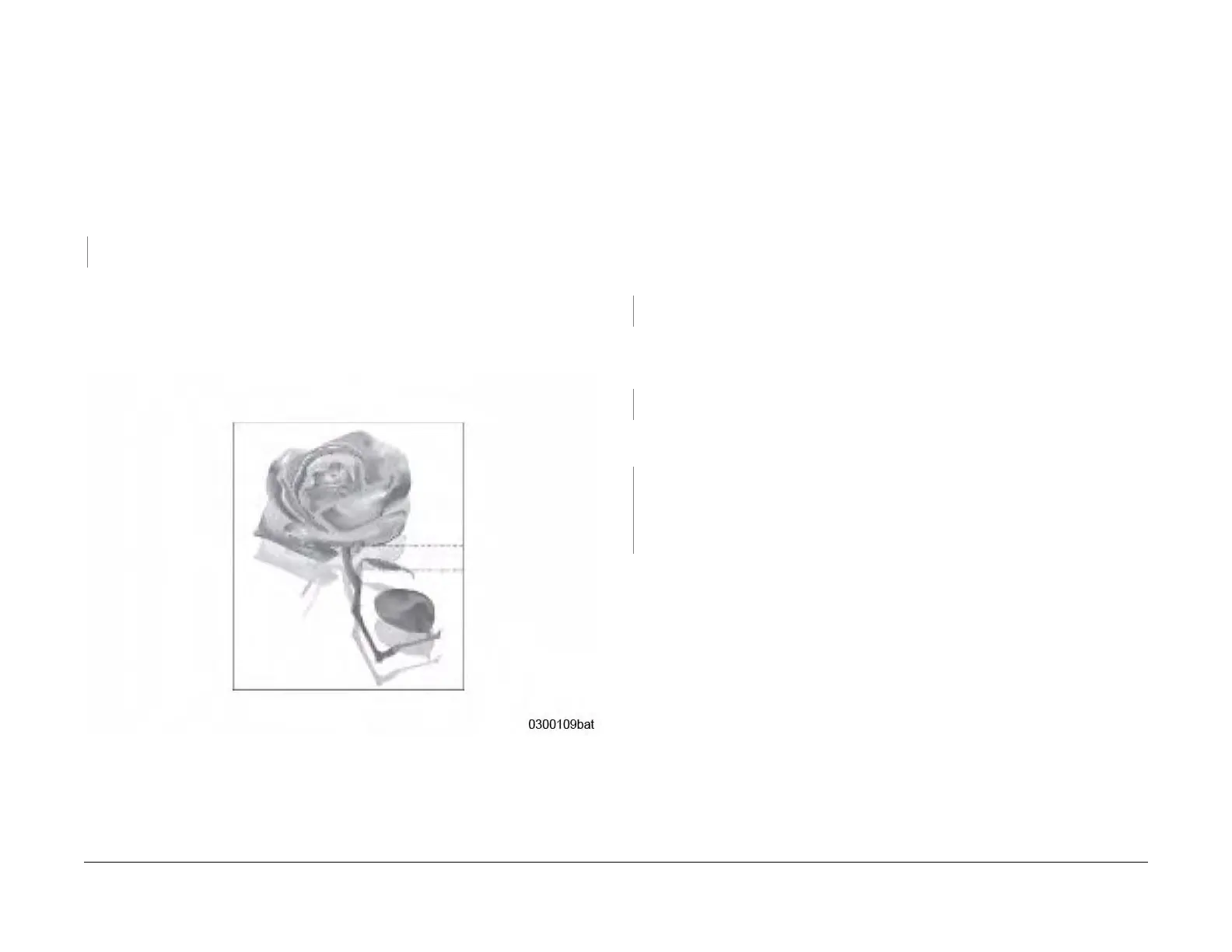 Page #49 background image