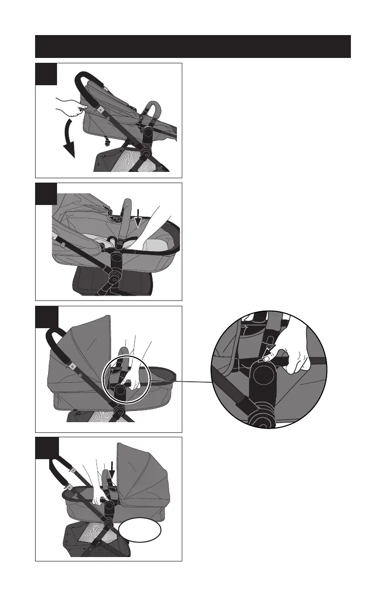 Page #40 background image