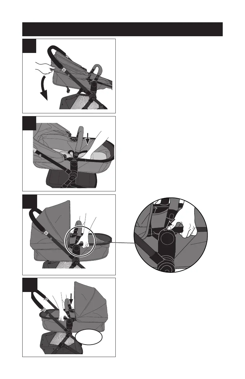 Page #64 background image