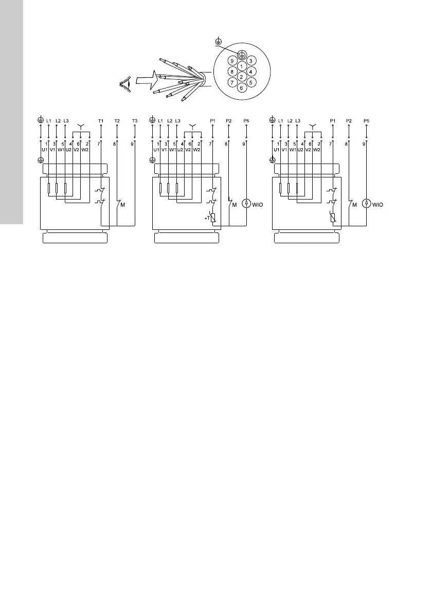 Page #20 background image