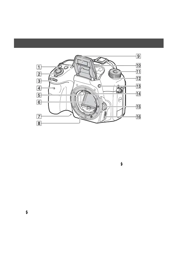 Page #370 background image