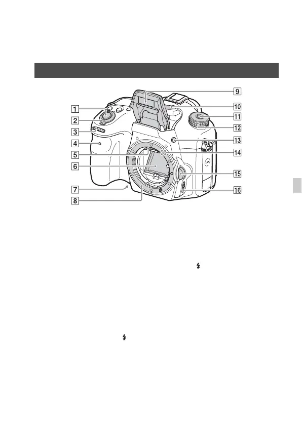 Page #115 background image