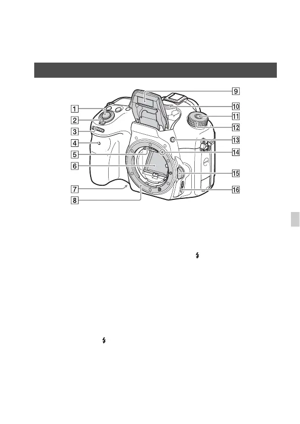 Page #217 background image
