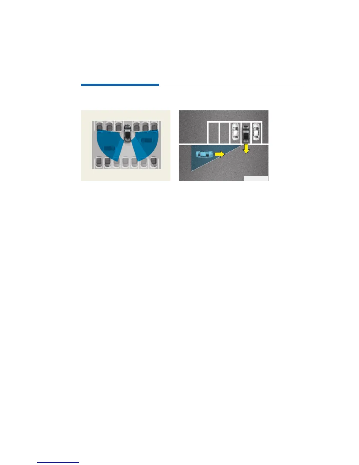 Page #313 background image