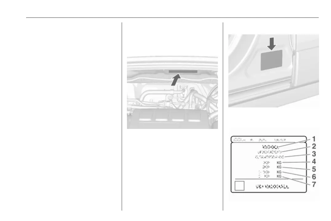 Page #221 background image