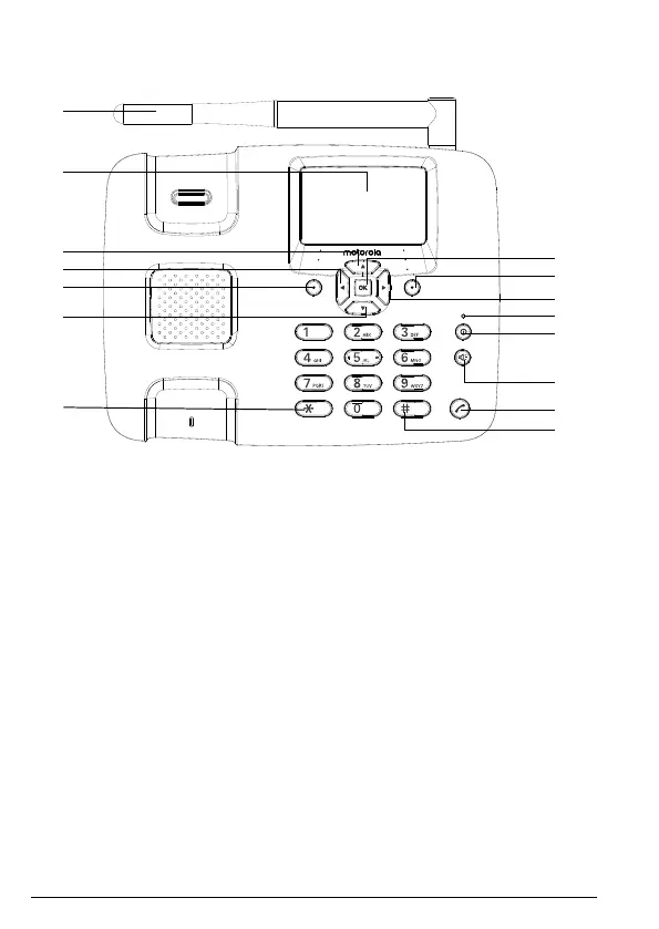 Page #10 background image