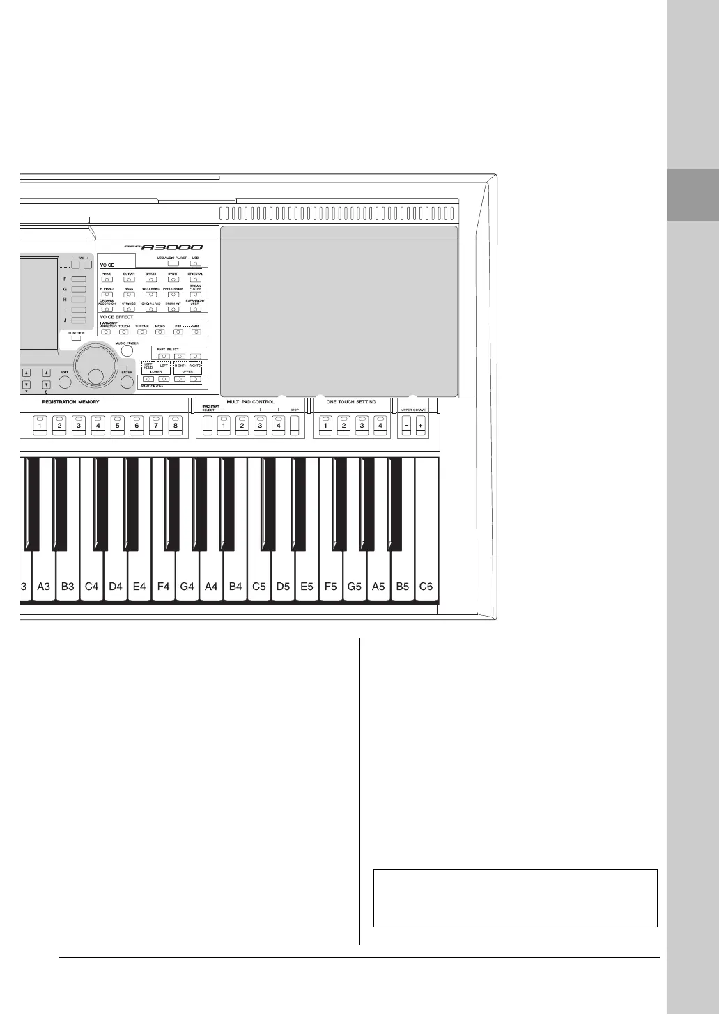 Page #13 background image
