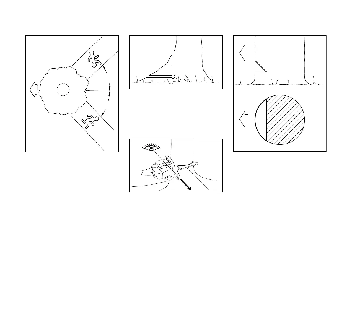 Page #81 background image