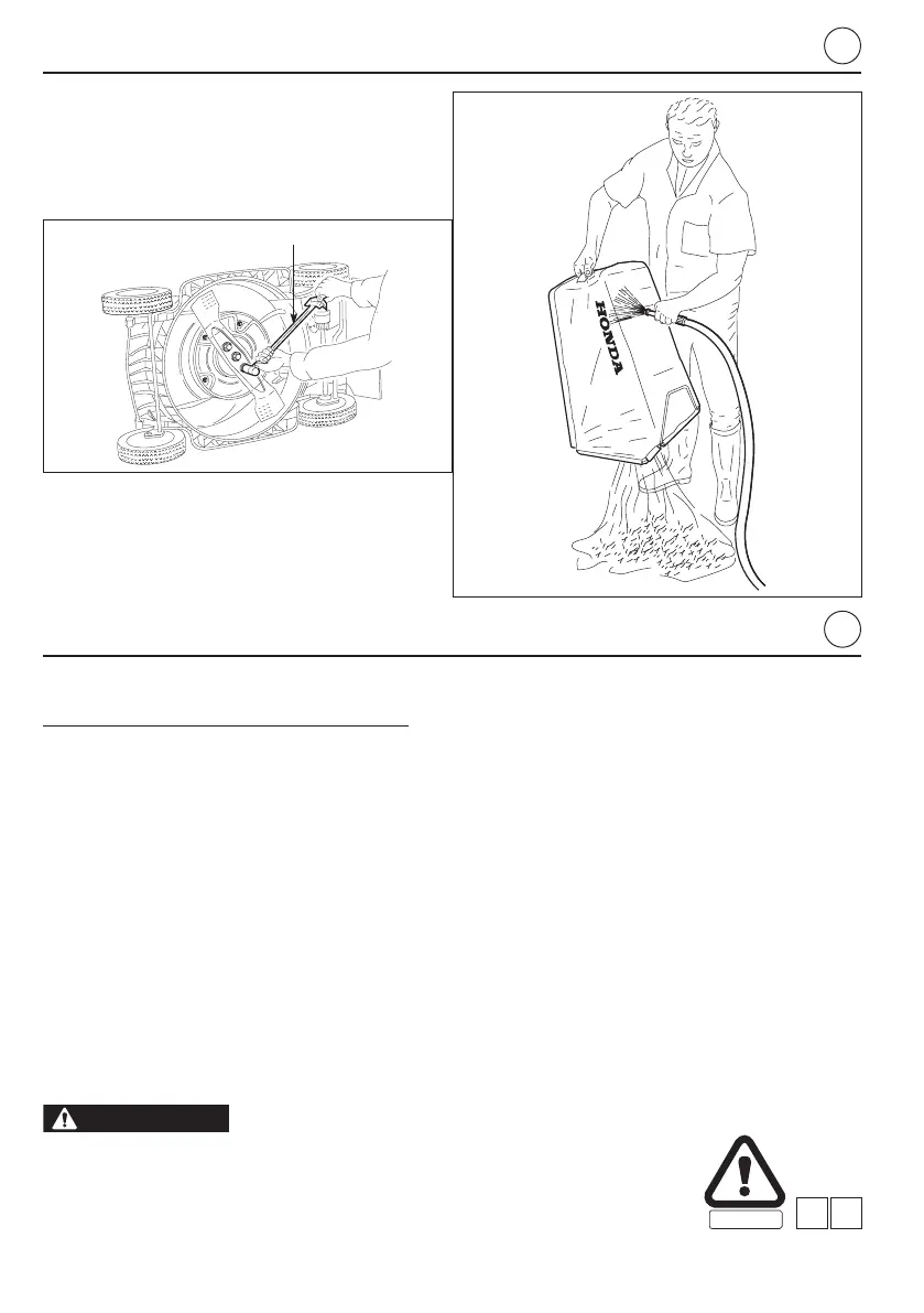 Page #66 background image