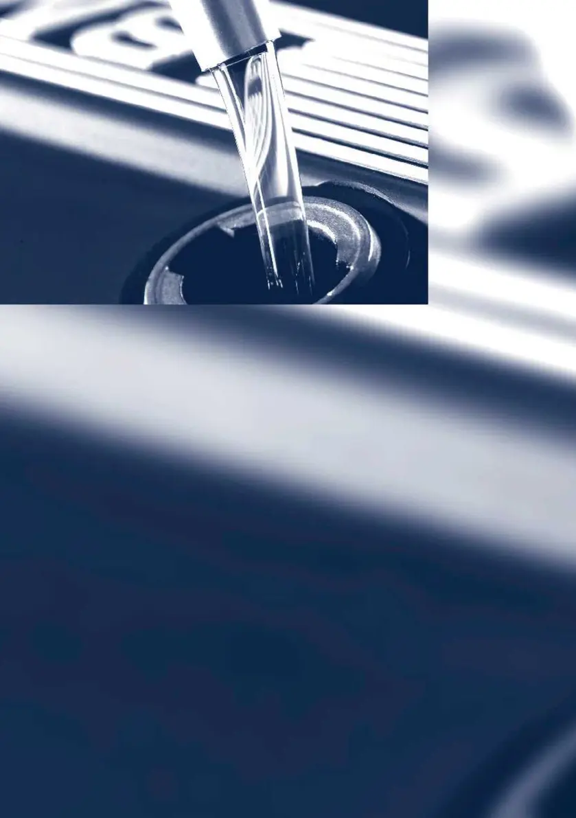 Page #256 background image