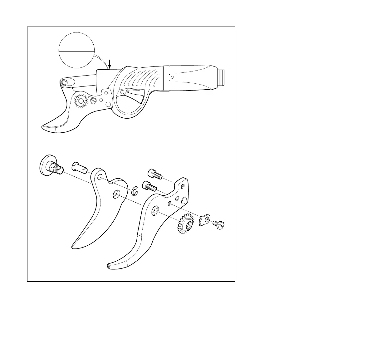 Page #196 background image
