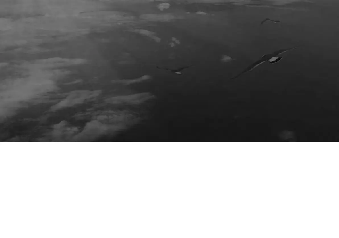 Page #324 background image