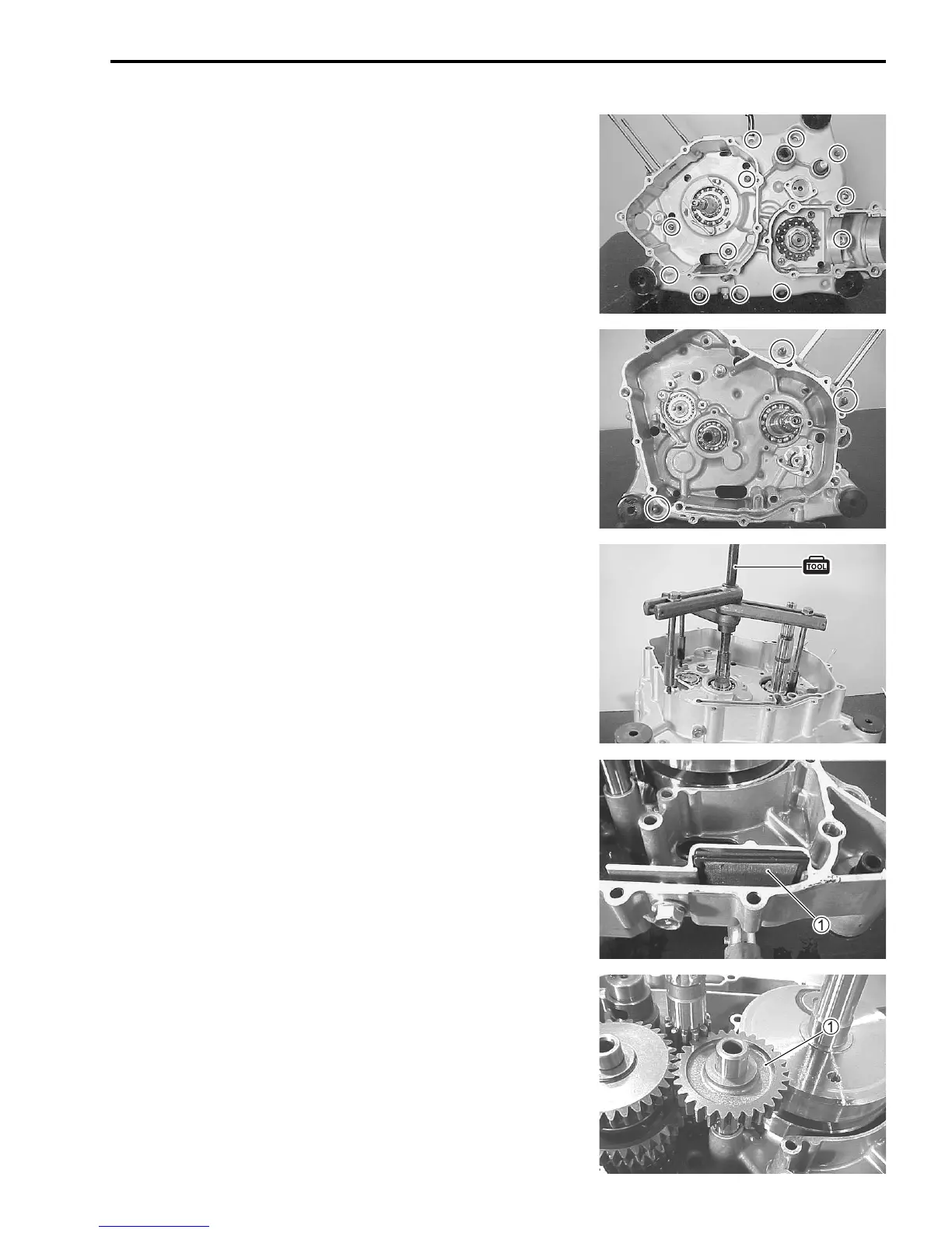 Page #61 background image
