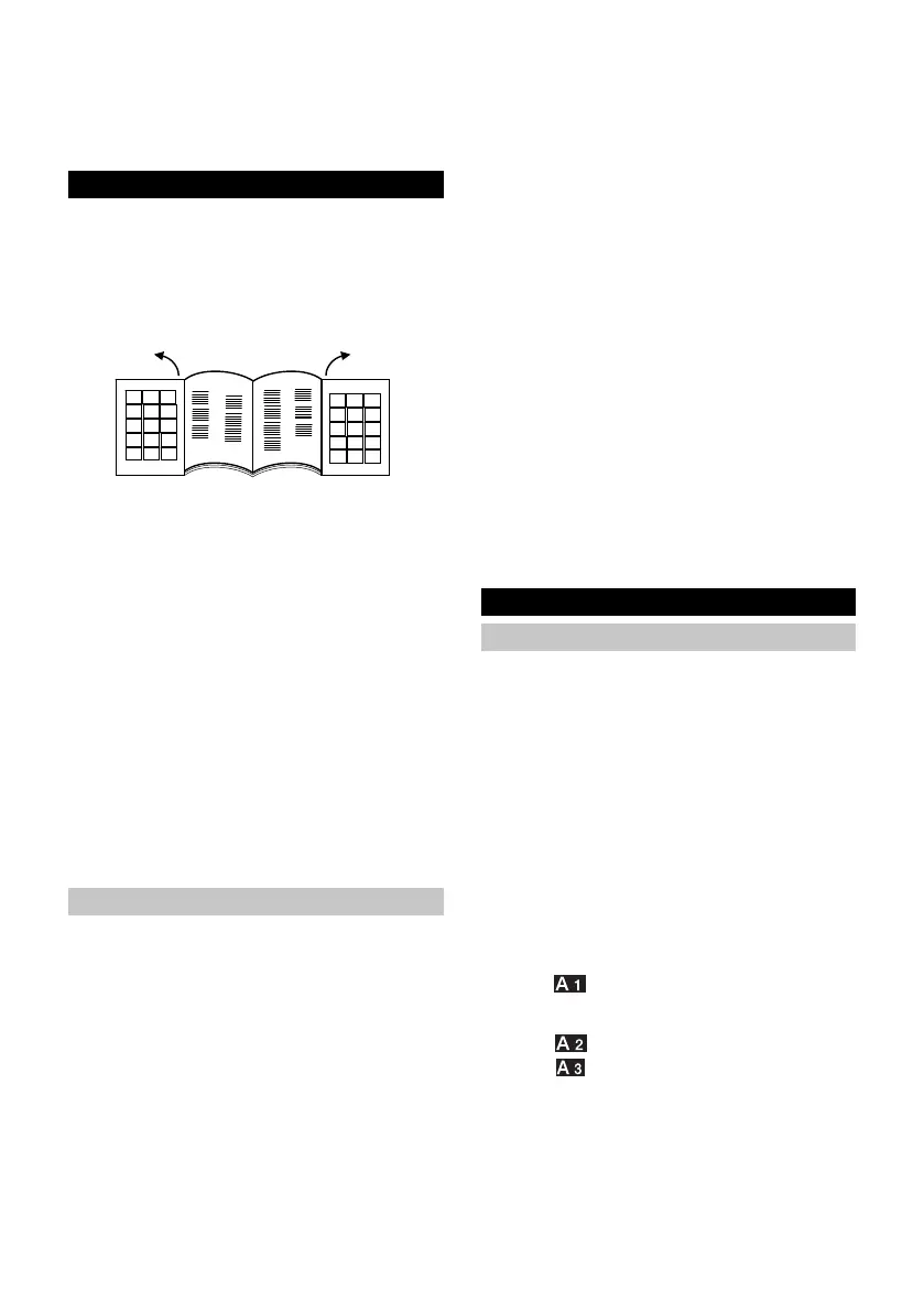 Page #257 background image