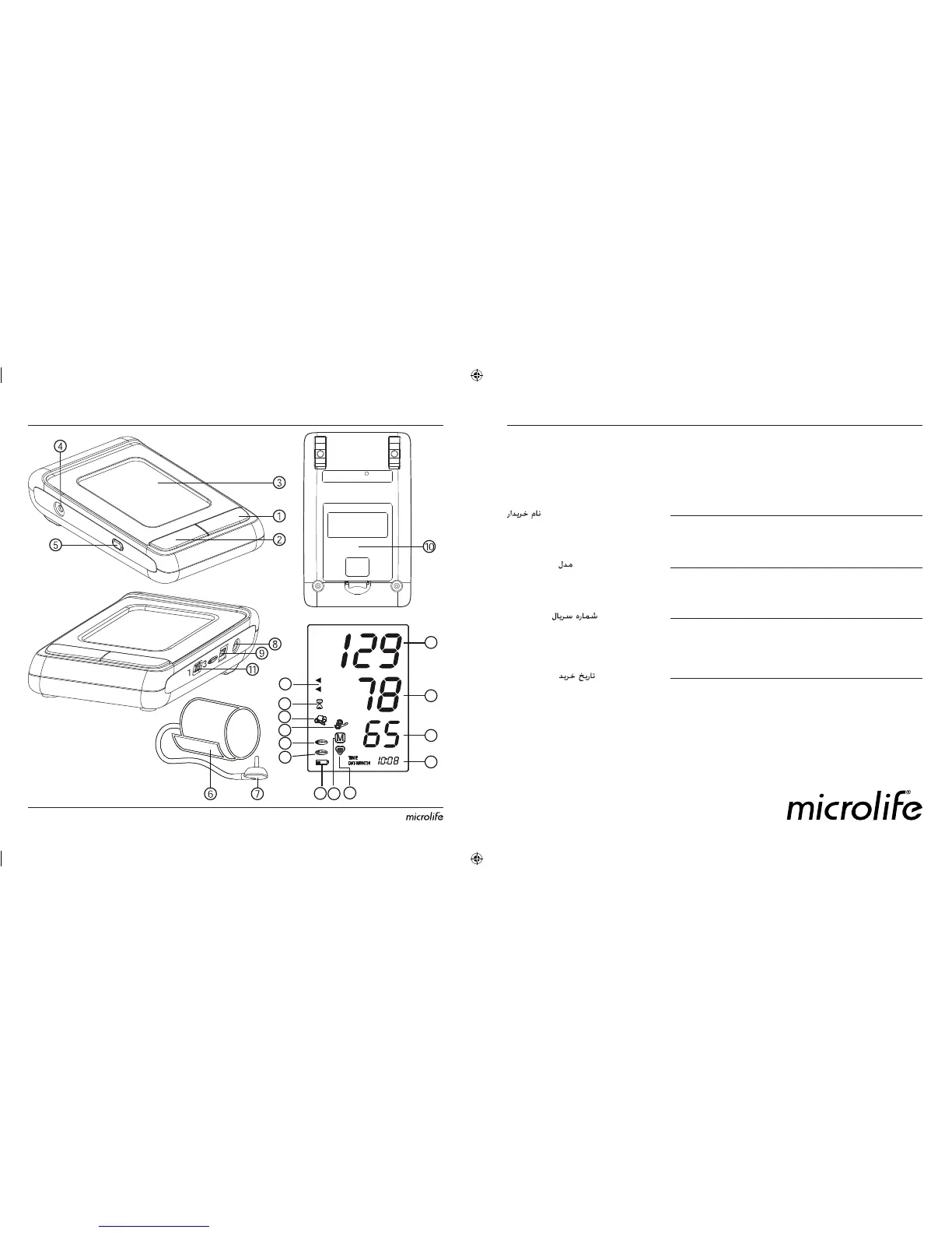 Page #2 background image