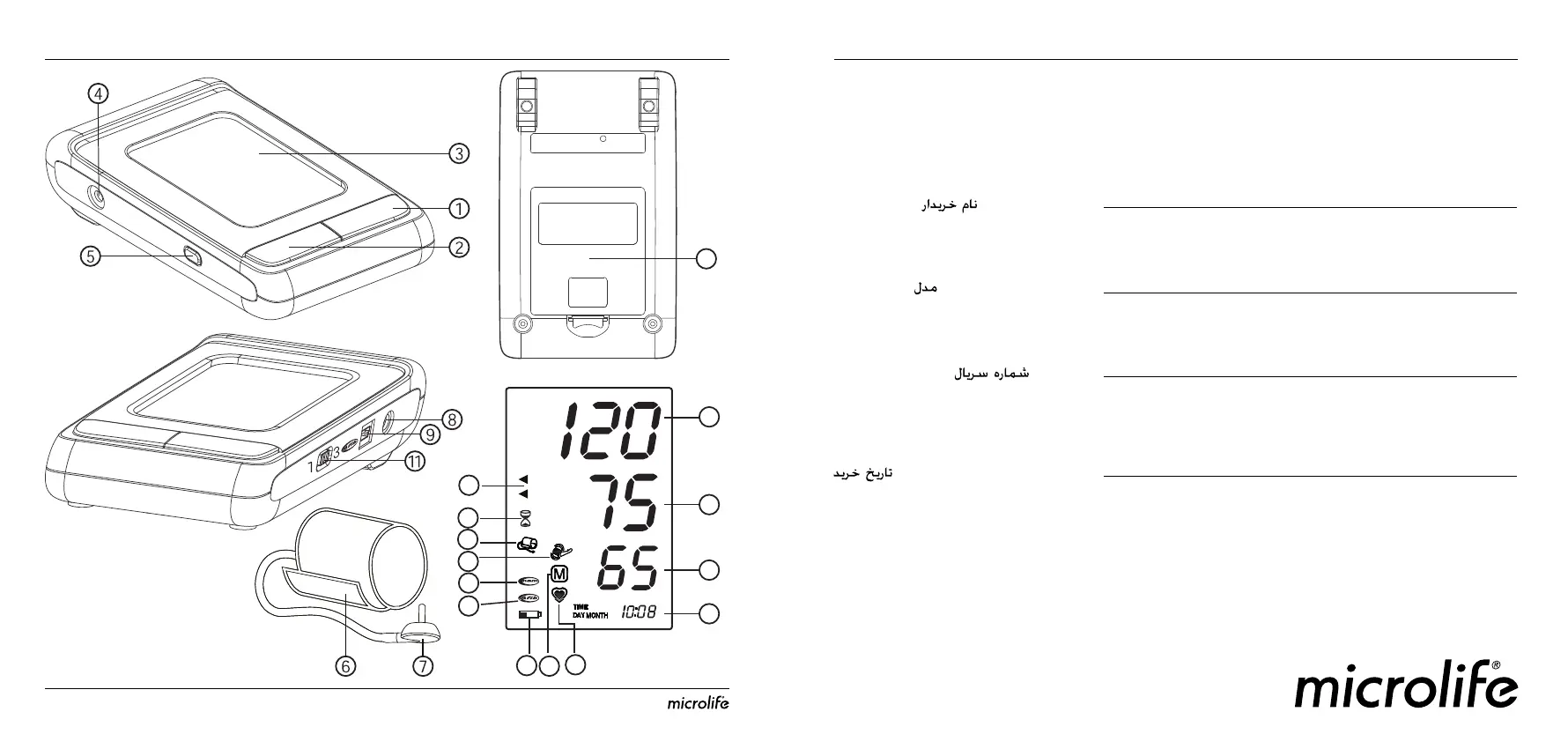 Page #2 background image