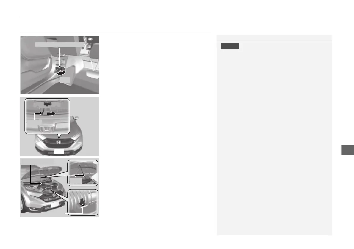 Page #557 background image