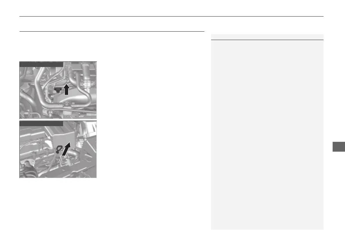Page #559 background image