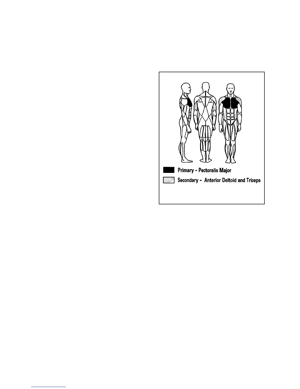 Page #55 background image