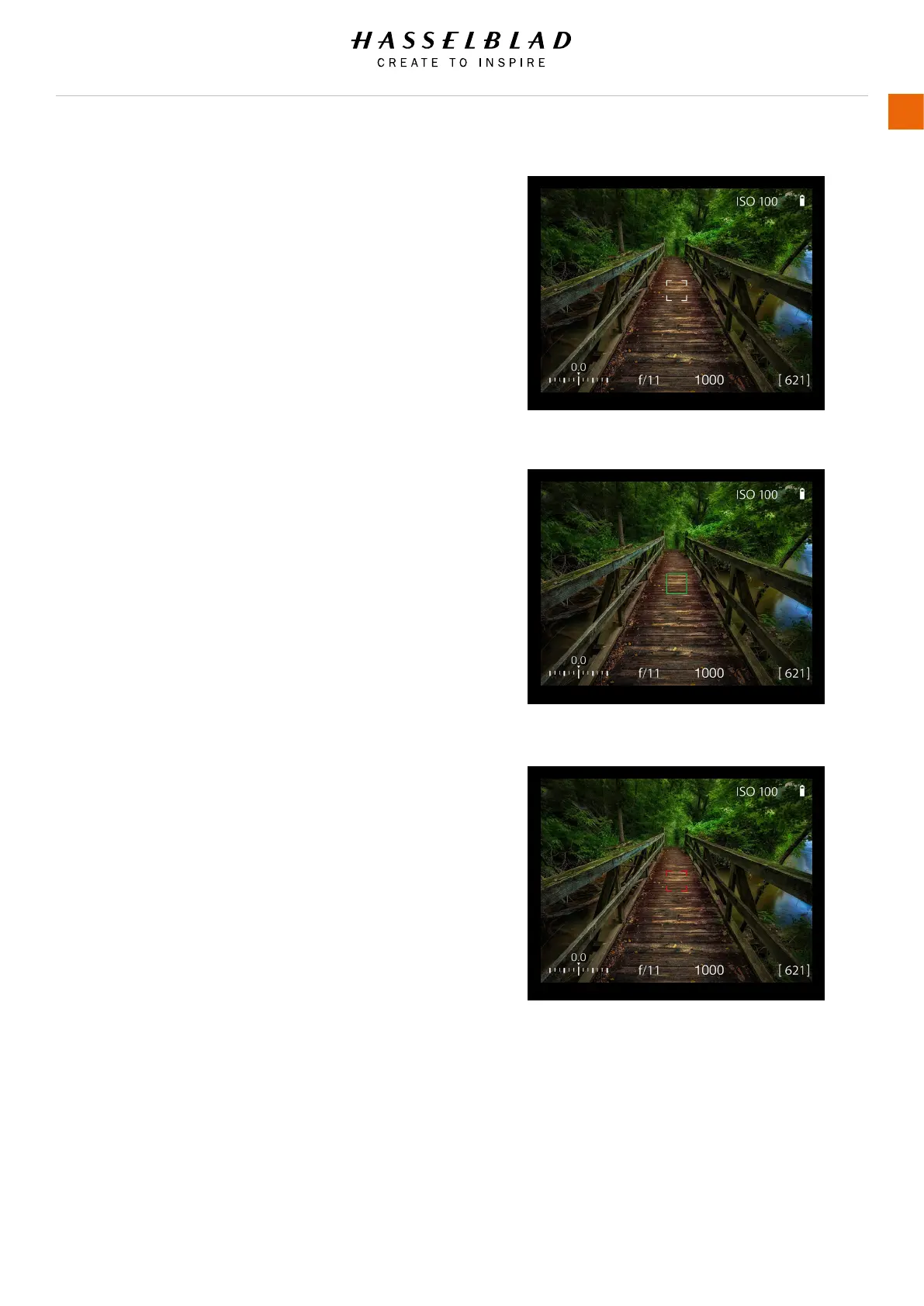 Page #58 background image