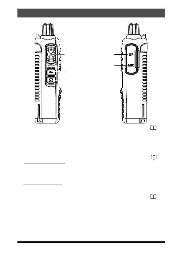Page #13 background image