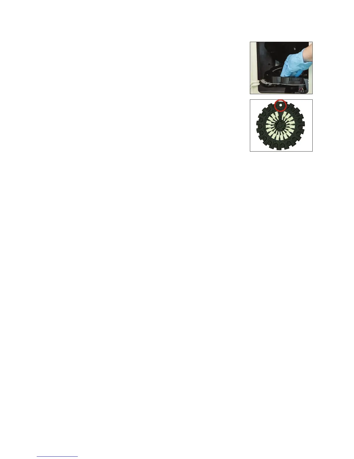 Page #29 background image