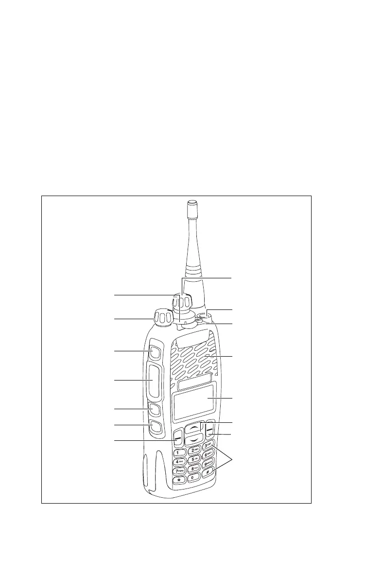 Page #41 background image