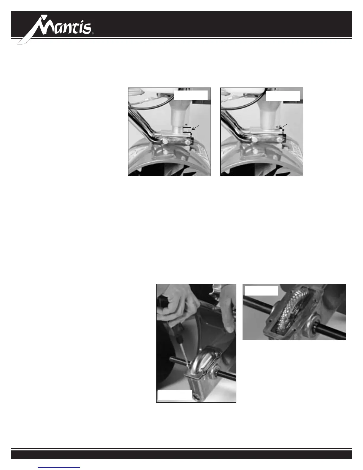 Page #36 background image