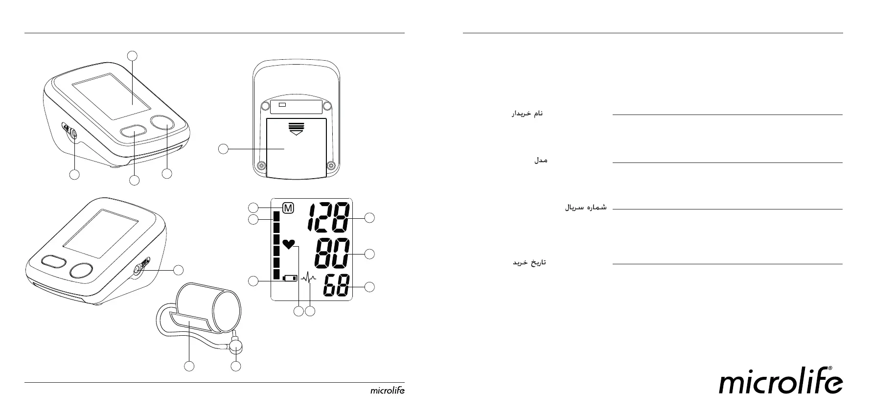 Page #2 background image