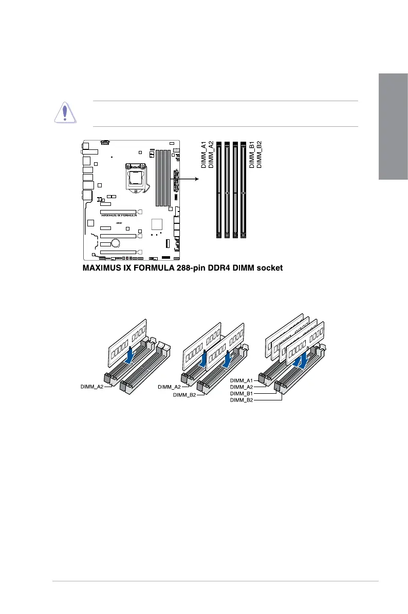 Page #21 background image