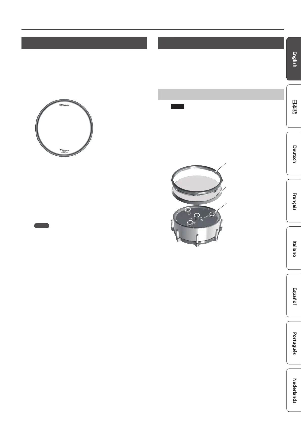 Page #3 background image