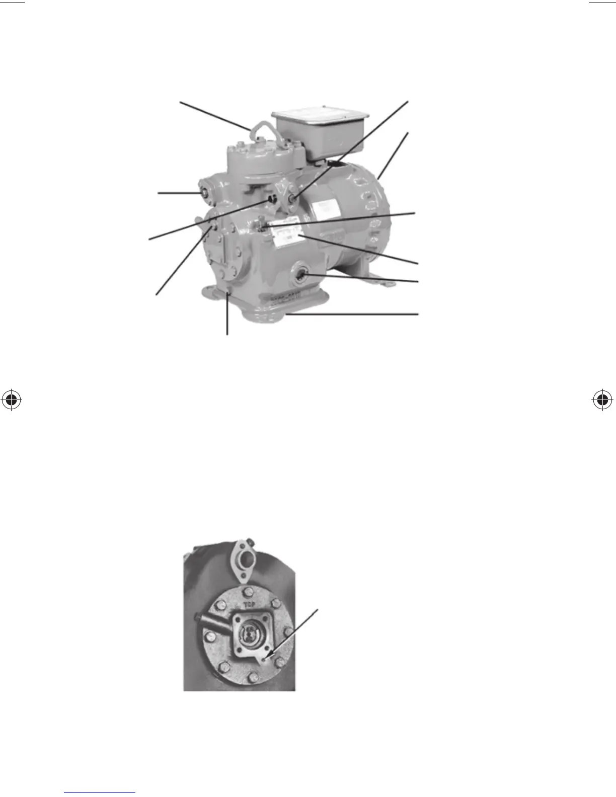 Page #46 background image