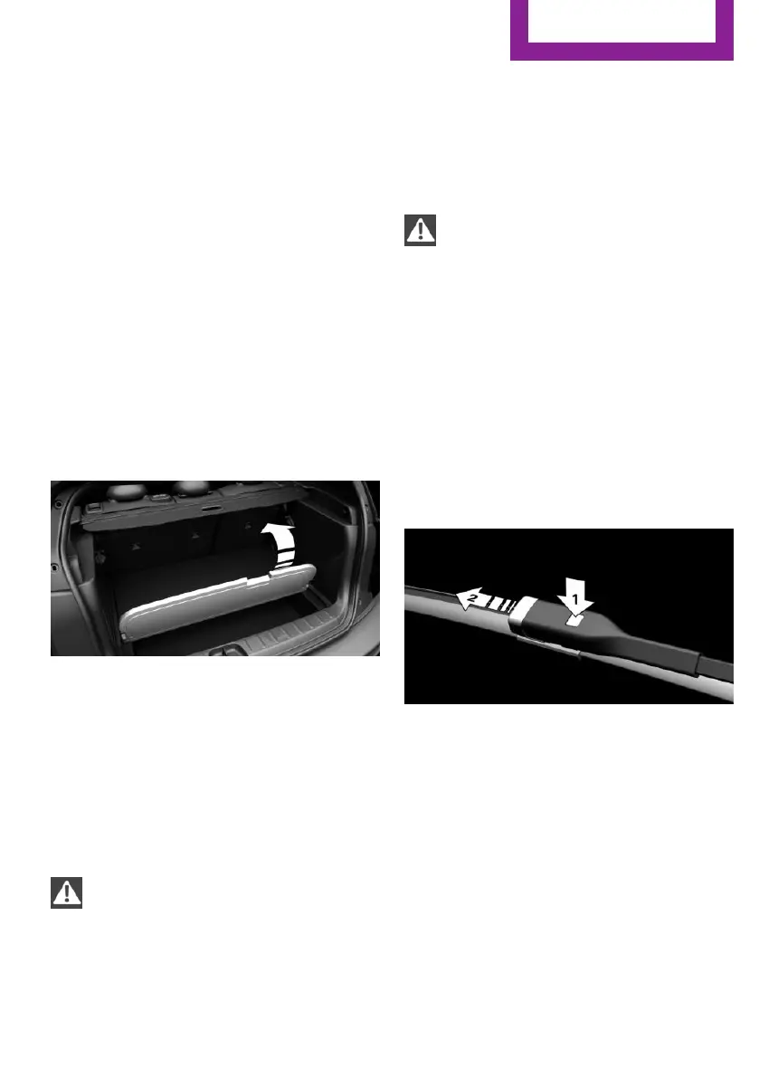 Page #231 background image