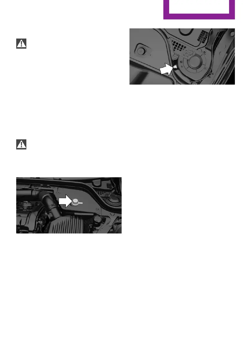 Page #243 background image