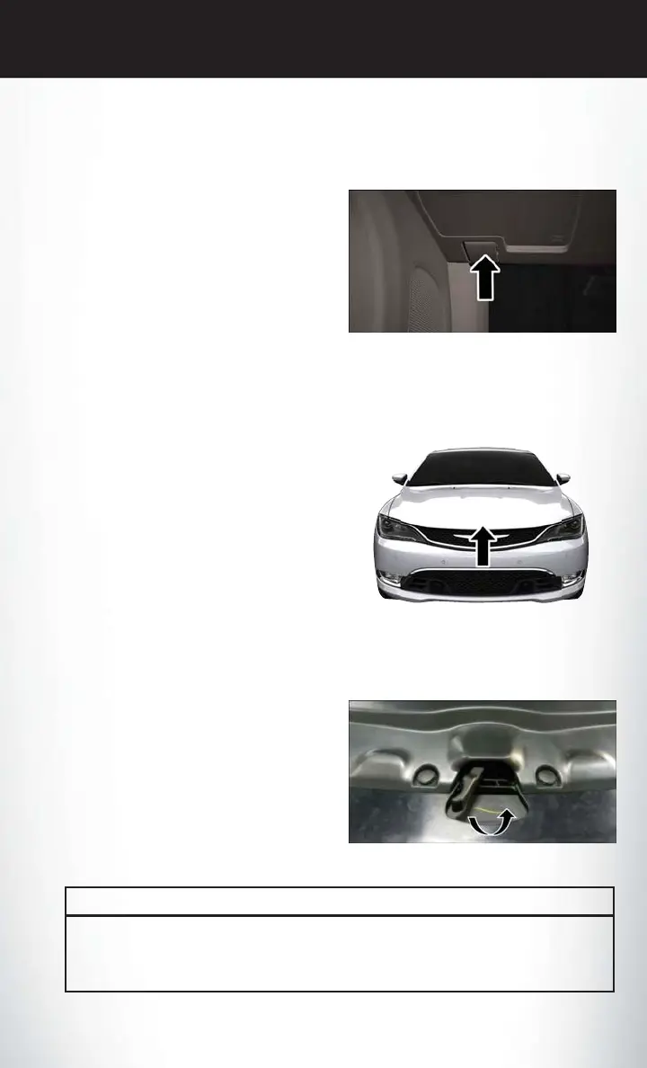 Page #201 background image
