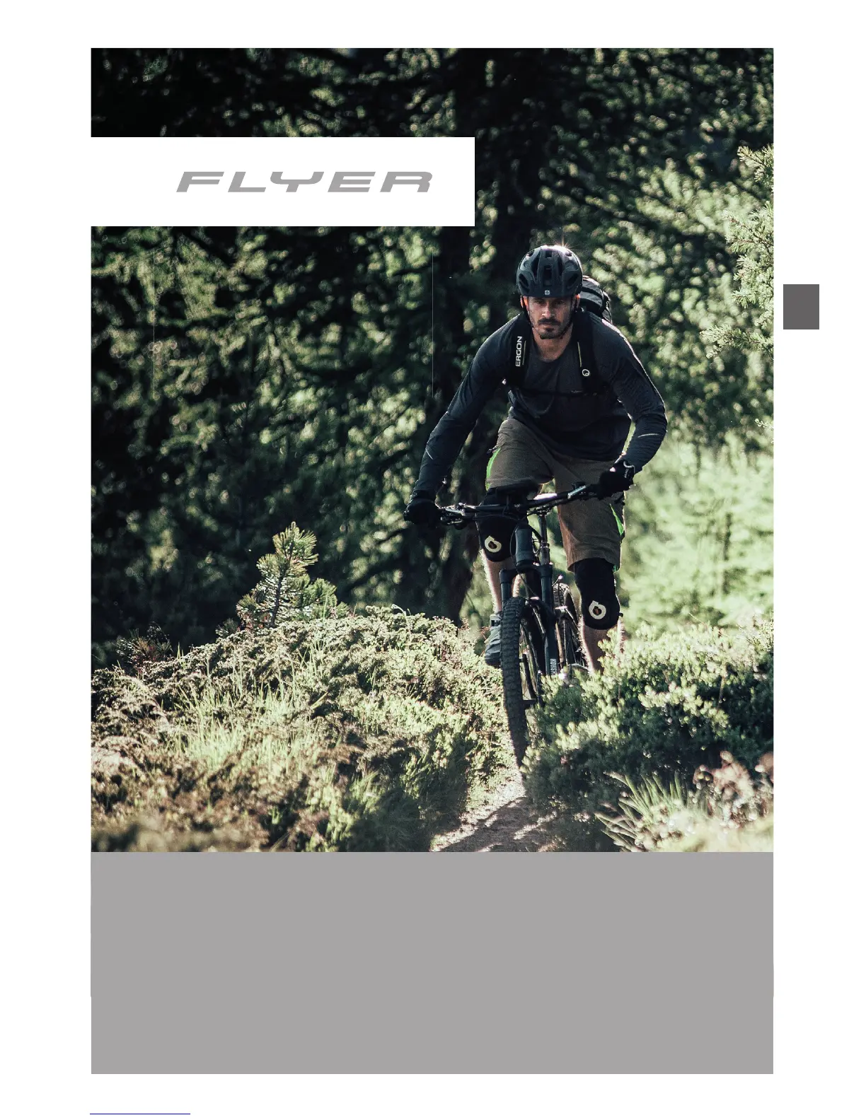 Page #41 background image