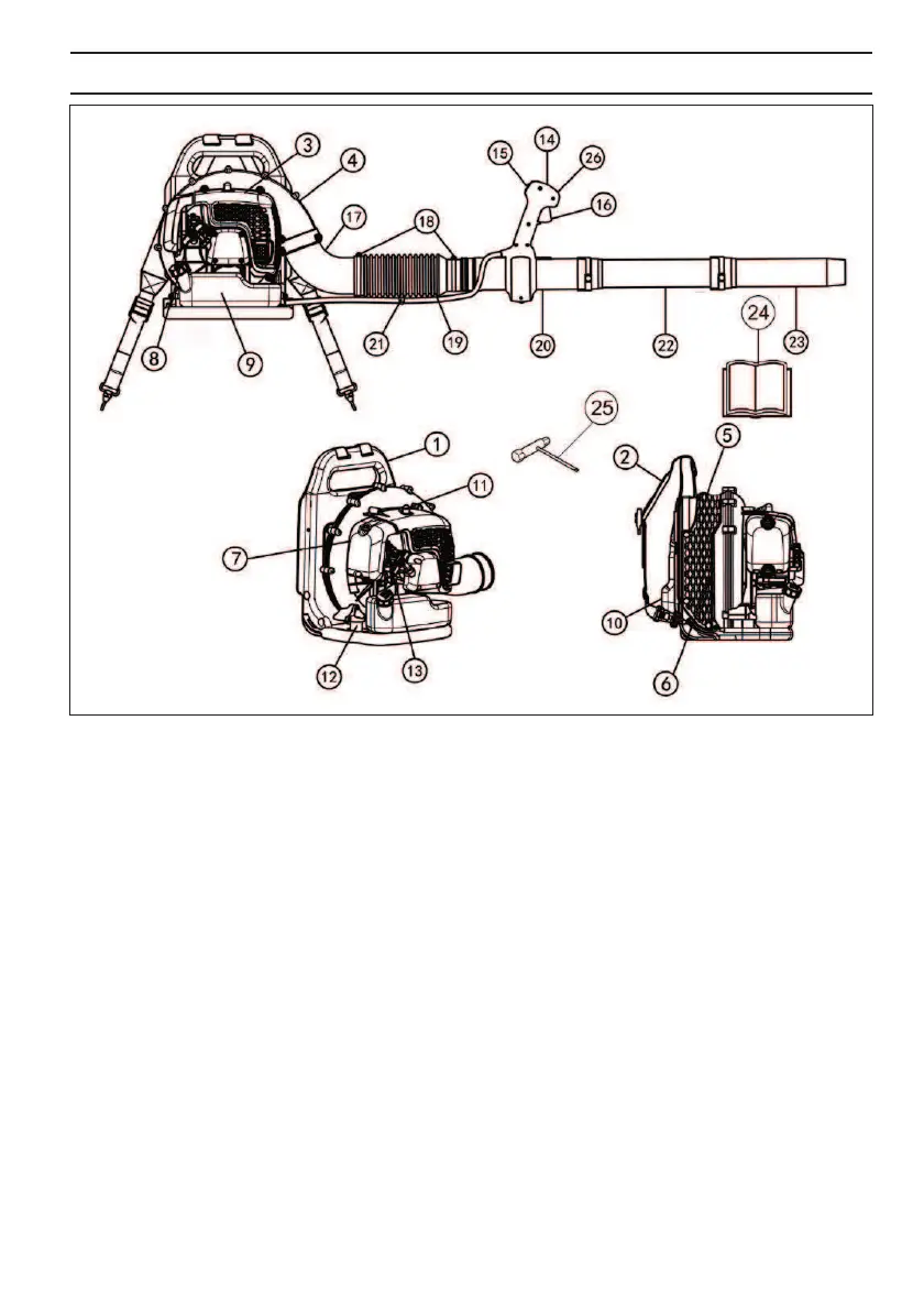 Page #403 background image