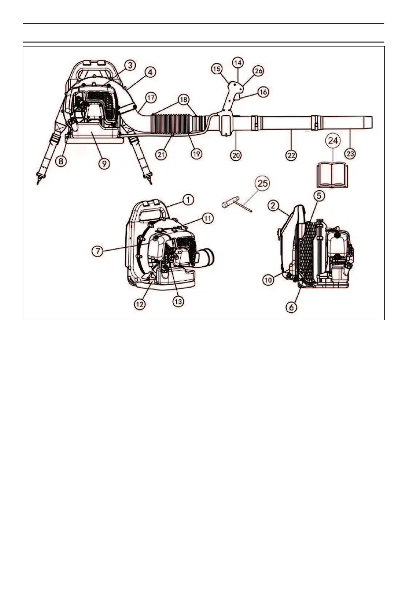 Page #194 background image