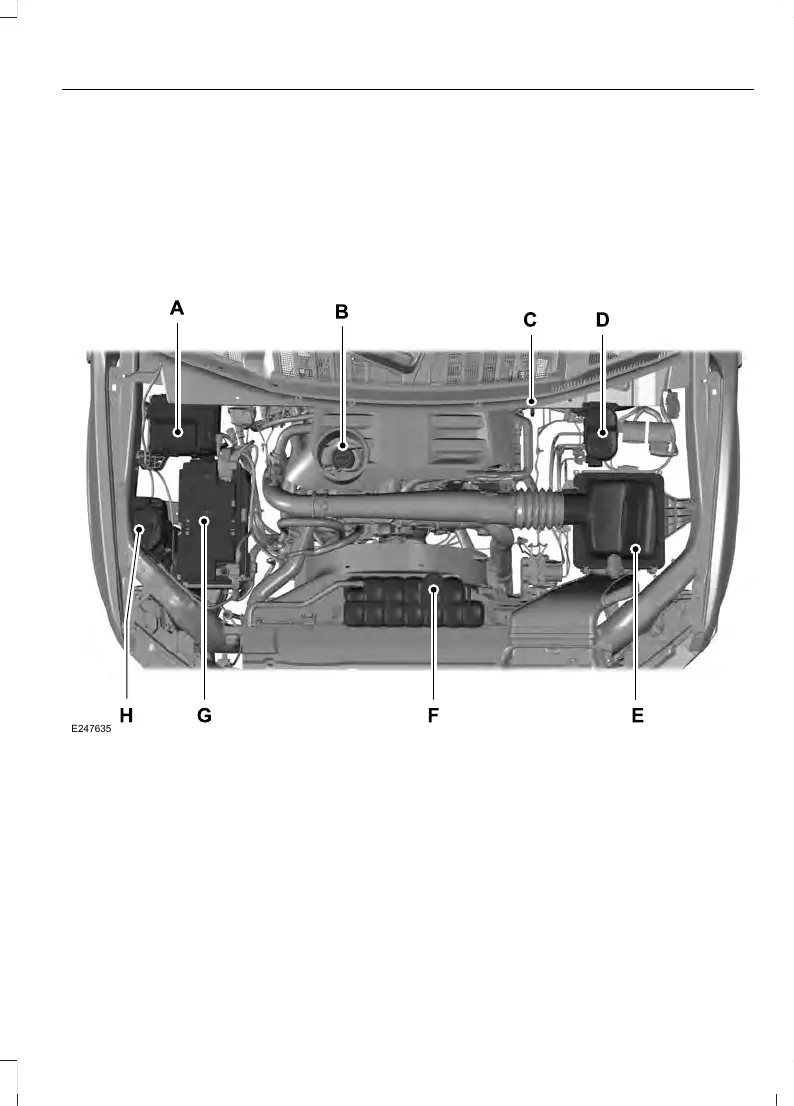 Page #348 background image